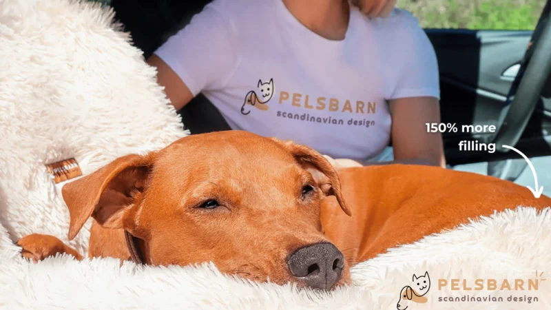 🐶 Pelsbarn.org Review: Premium Pet Products That Truly Care