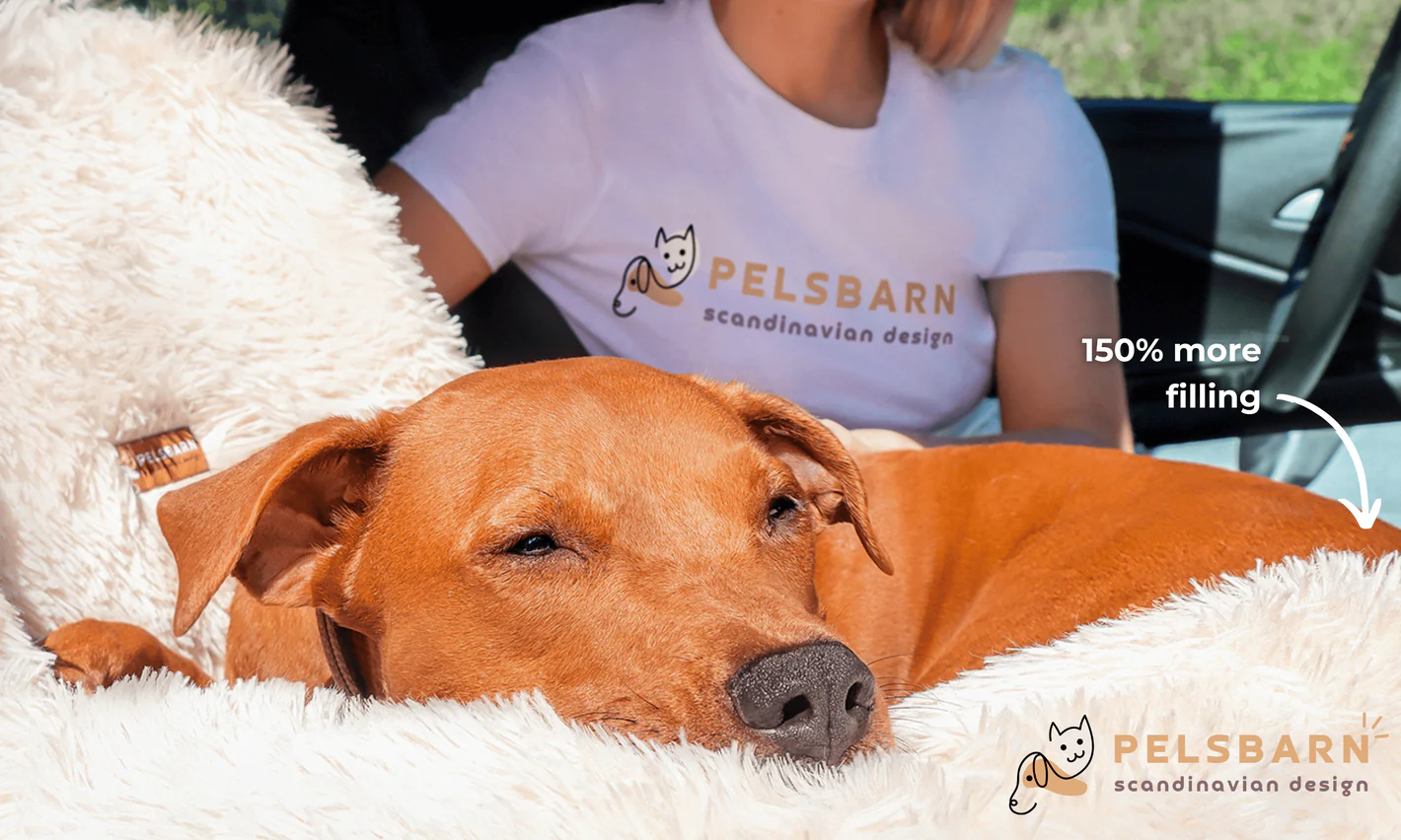 🐶 Pelsbarn.org Review: Premium Pet Products That Truly Care