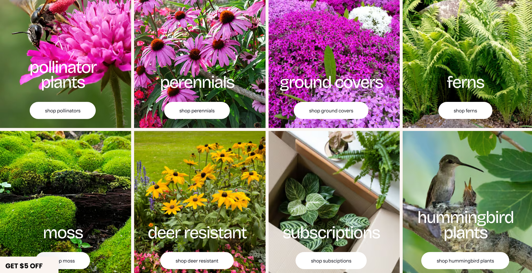 πΏ TN Nursery Review: A Comprehensive Guide for Gardeners and Deal Seekers